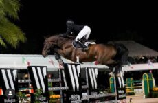 <strong>SHOW JUMPING: Offaly's Darragh Kenny claims second in 5* Grand Prix </strong>