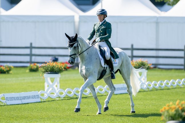 Irish eventers seal Olympic qualification